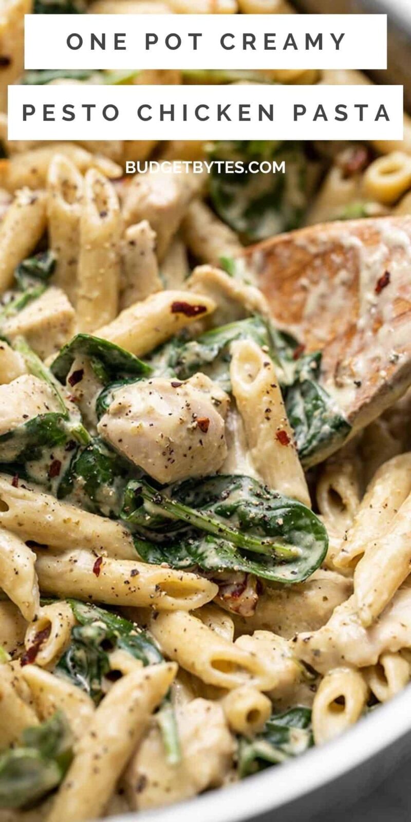 close up of creamy pesto chicken pasta, title text at the top