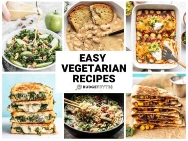 Collage of vegetarian recipe images with title text in the center.